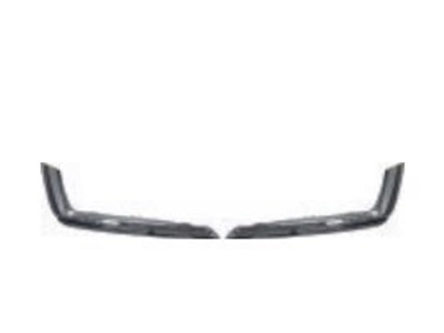 ROEWE X5 FRONT BUMPER STRIPE