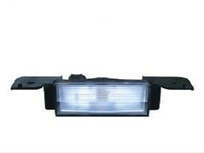 RUNNING-BOARD LIGHT